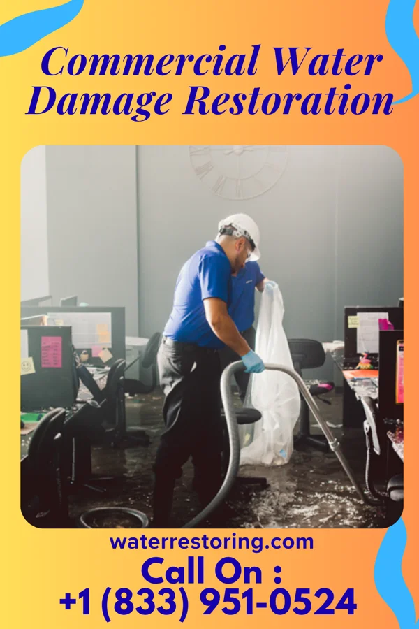 Commercial Water Damage Restoration in Rulo, NE