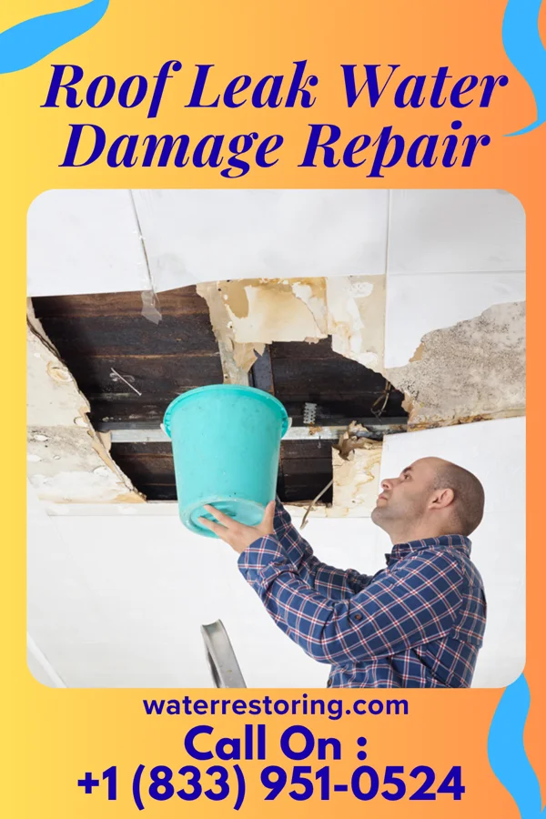 Roof Leak Water Damage Repair in Rulo, NE