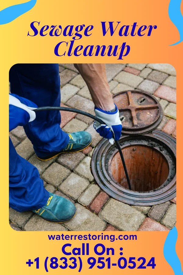 Sewage Water Cleanup in Rulo, NE