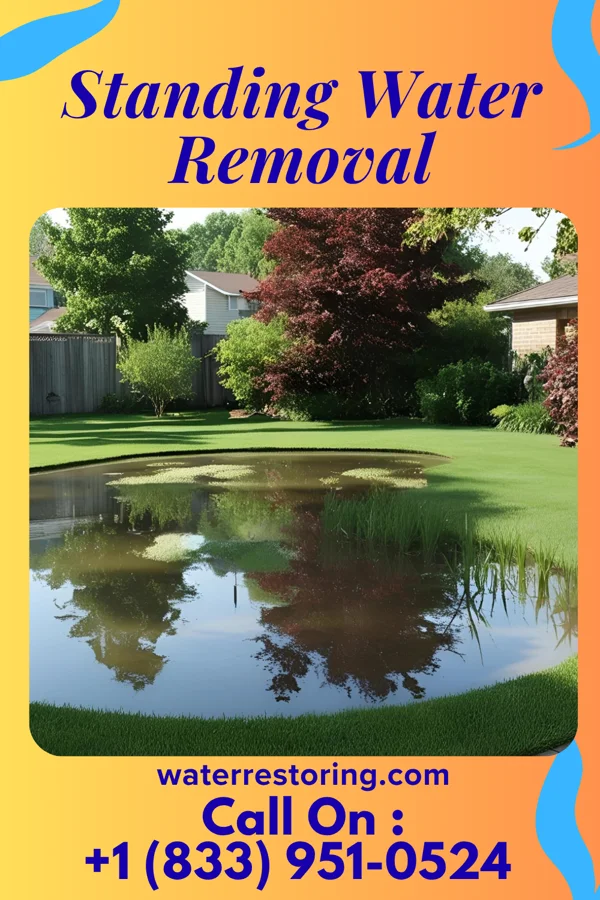 Standing Water Removal in Rulo, NE